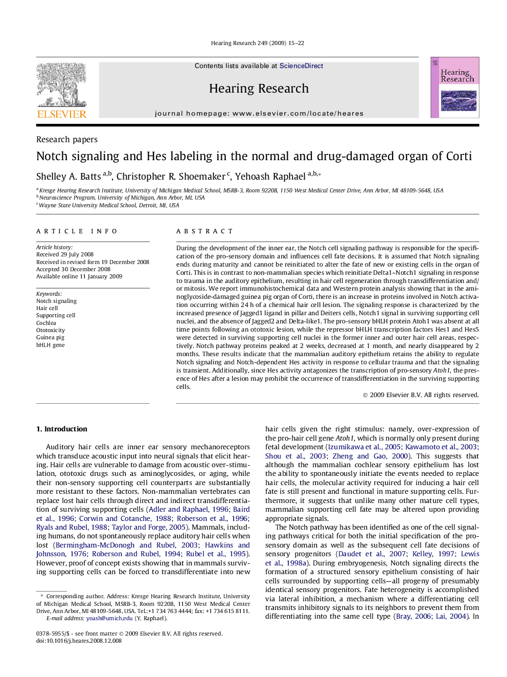 Notch signaling and Hes labeling in the normal and drug-damaged organ of Corti