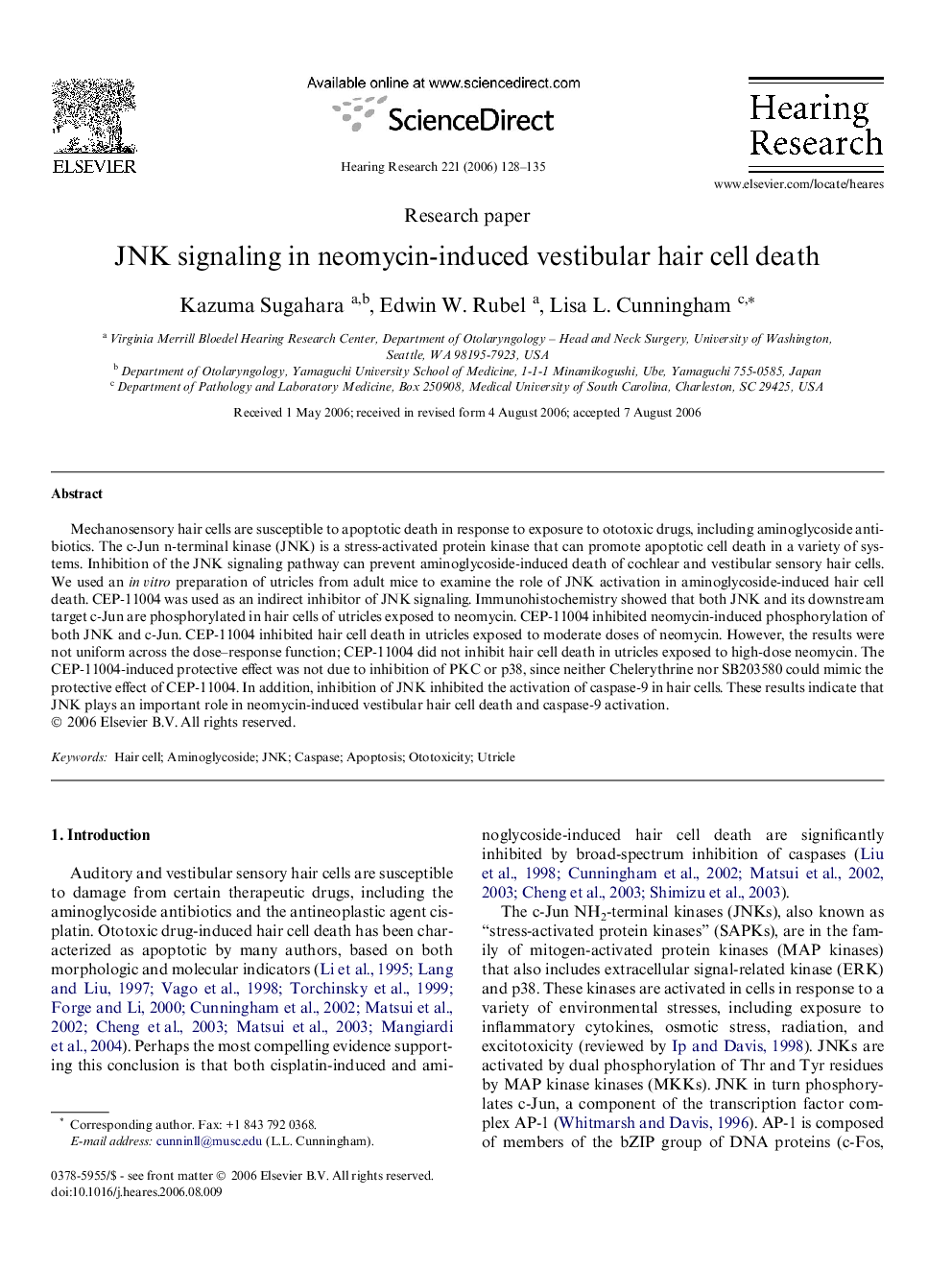 JNK signaling in neomycin-induced vestibular hair cell death