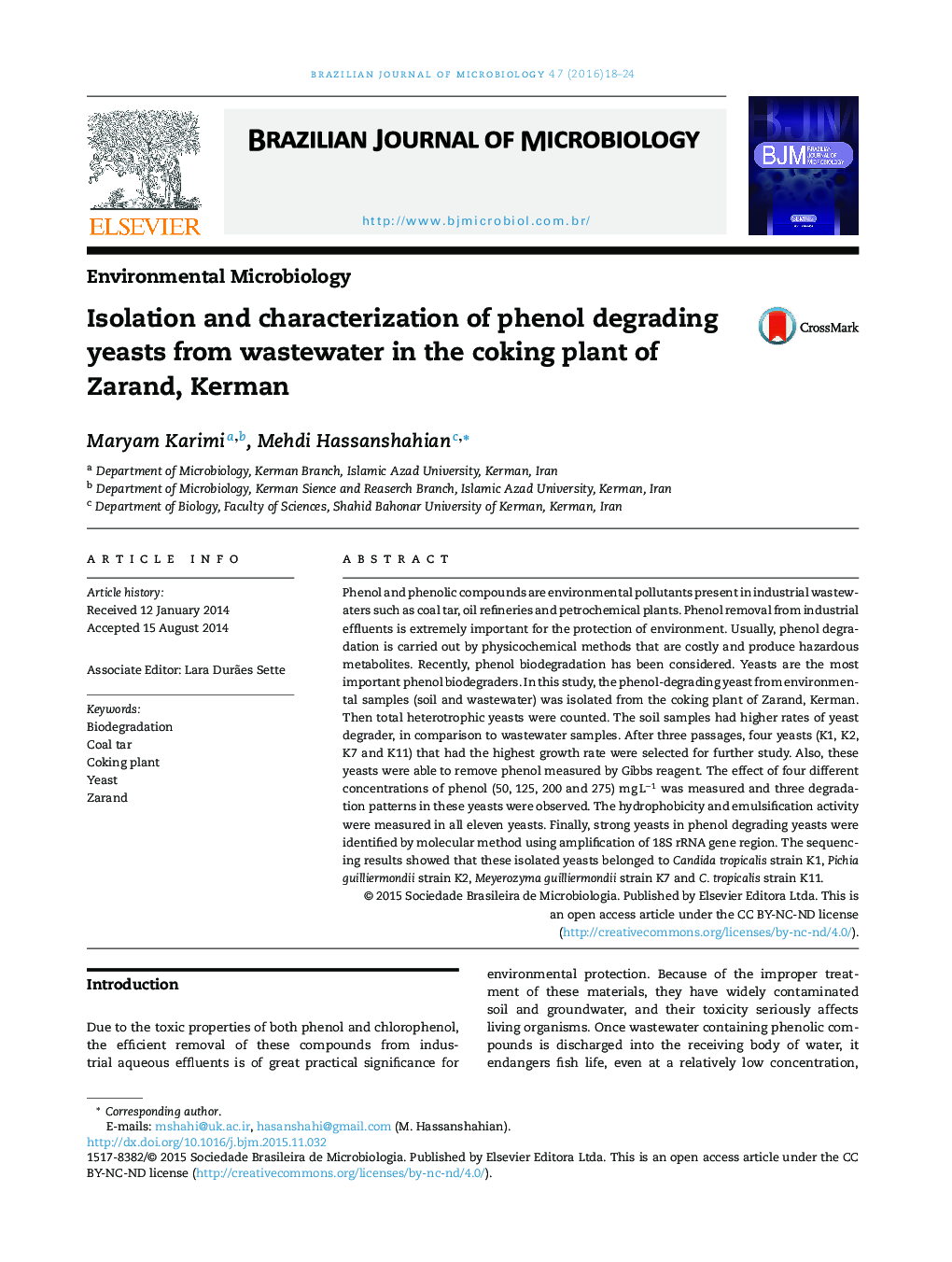 Isolation and characterization of phenol degrading yeasts from wastewater in the coking plant of Zarand, Kerman