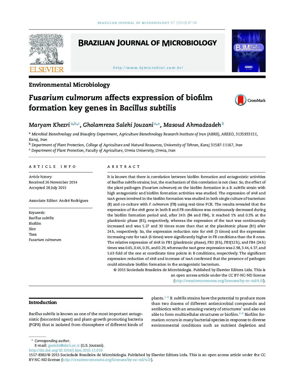 Fusarium culmorum affects expression of biofilm formation key genes in Bacillus subtilis