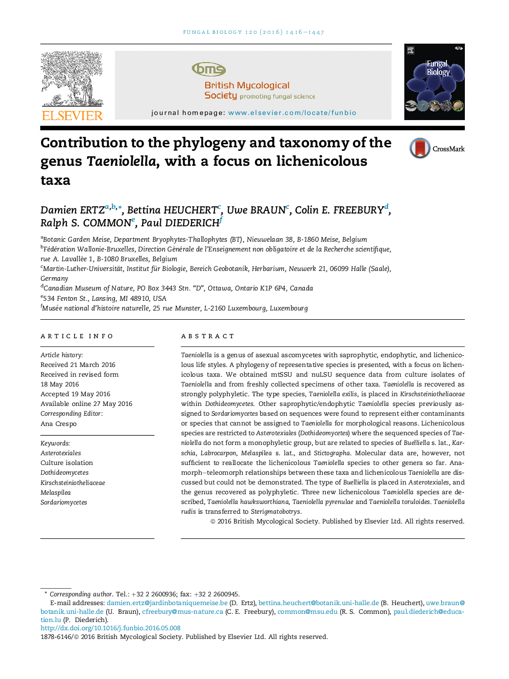 Contribution to the phylogeny and taxonomy of the genus Taeniolella, with a focus on lichenicolous taxa