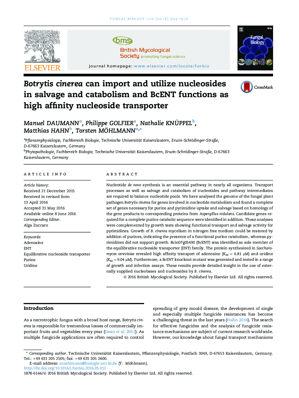 Botrytis cinerea can import and utilize nucleosides in salvage and catabolism and BcENT functions as high affinity nucleoside transporter