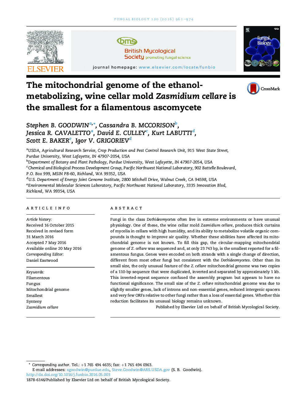 The mitochondrial genome of the ethanol-metabolizing, wine cellar mold Zasmidium cellare is the smallest for a filamentous ascomycete