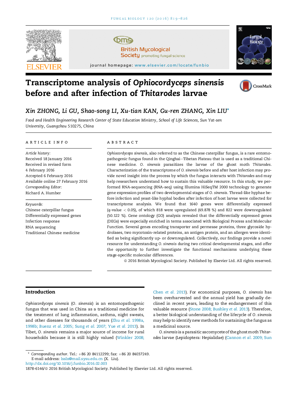 Transcriptome analysis of Ophiocordyceps sinensis before and after infection of Thitarodes larvae