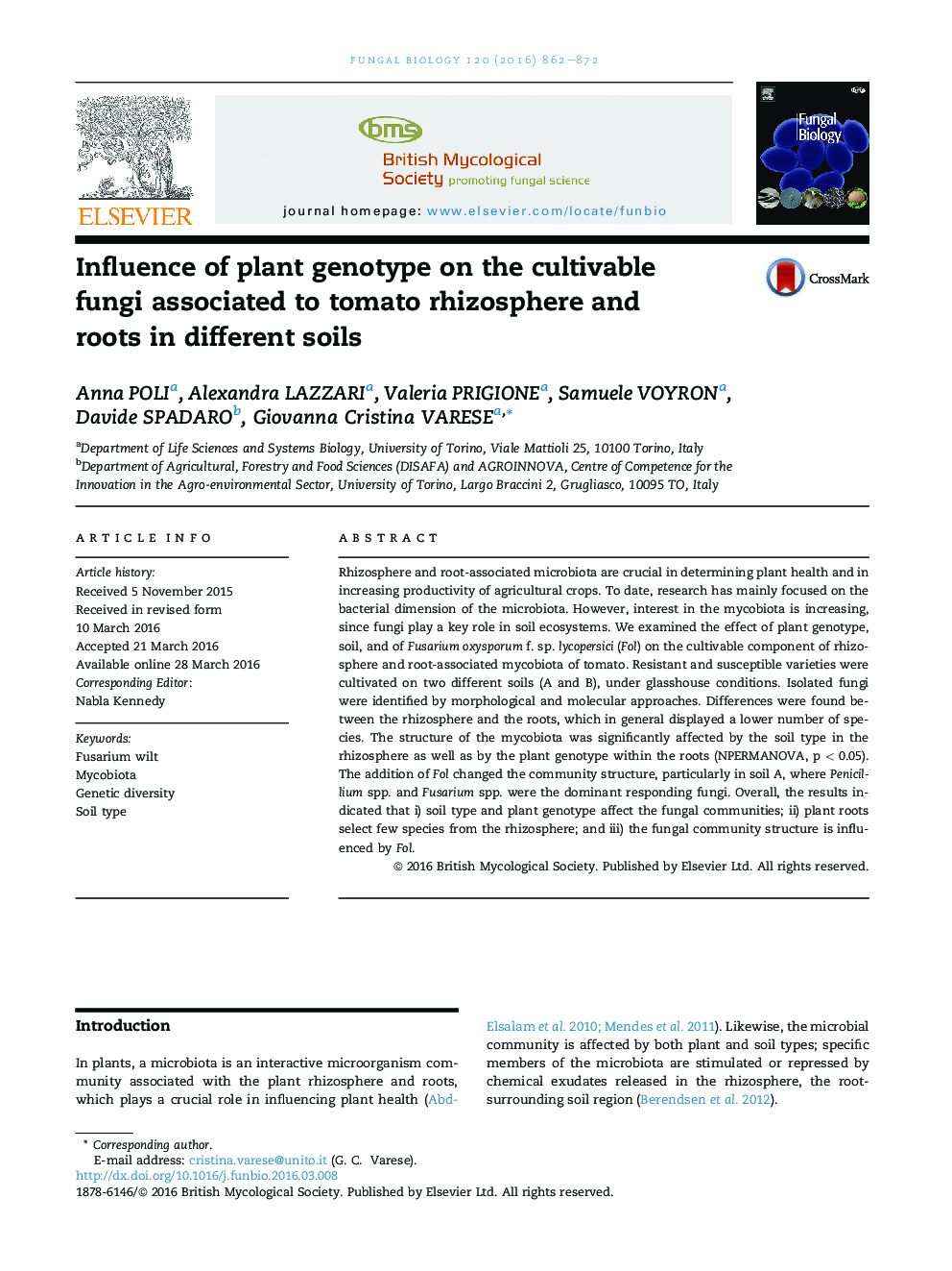 تأثیر ژنوتیپ گیاهی بر قارچ های کشتی مرتبط با ریزوسفر گوجه فرنگی و ریشه ها در خاک های مختلف 
