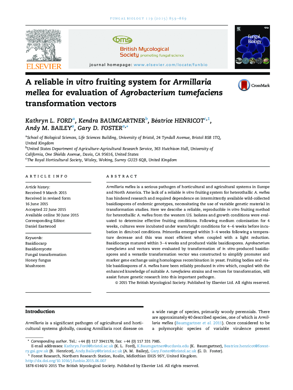 A reliable in vitro fruiting system for Armillaria mellea for evaluation of Agrobacterium tumefaciens transformation vectors