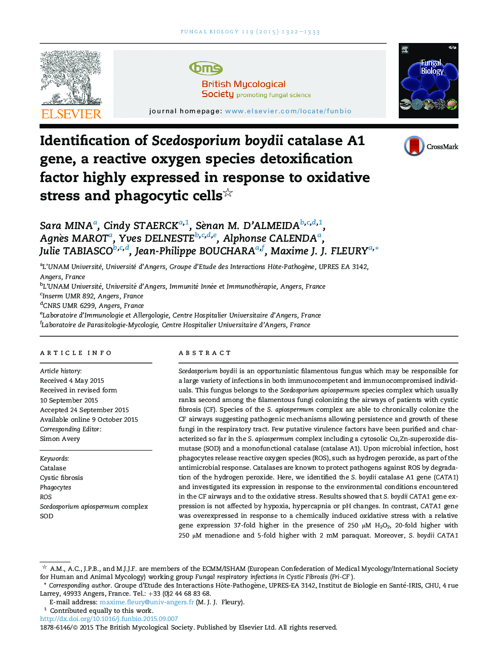 Identification of Scedosporium boydii catalase A1 gene, a reactive oxygen species detoxification factor highly expressed in response to oxidative stress and phagocytic cells 