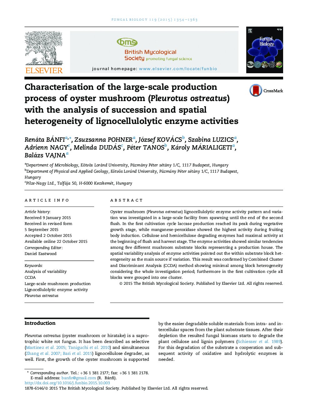 Characterisation of the large-scale production process of oyster mushroom (Pleurotus ostreatus) with the analysis of succession and spatial heterogeneity of lignocellulolytic enzyme activities