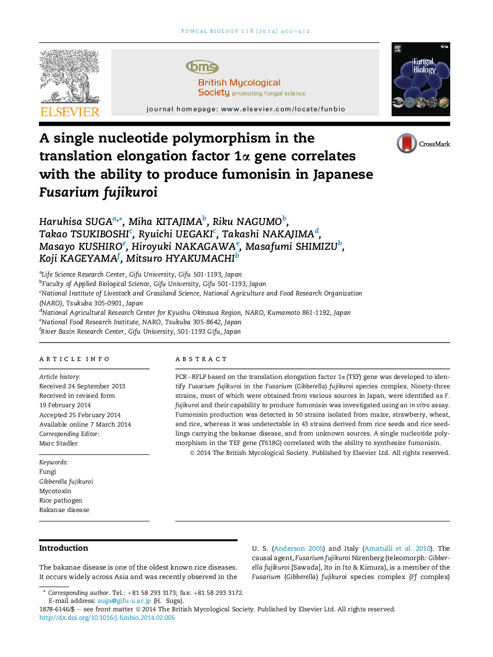 A single nucleotide polymorphism in the translation elongation factor 1α gene correlates with the ability to produce fumonisin in Japanese Fusarium fujikuroi