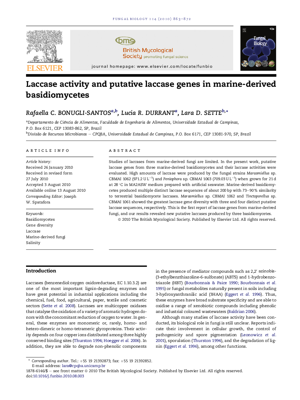 Laccase activity and putative laccase genes in marine-derived basidiomycetes