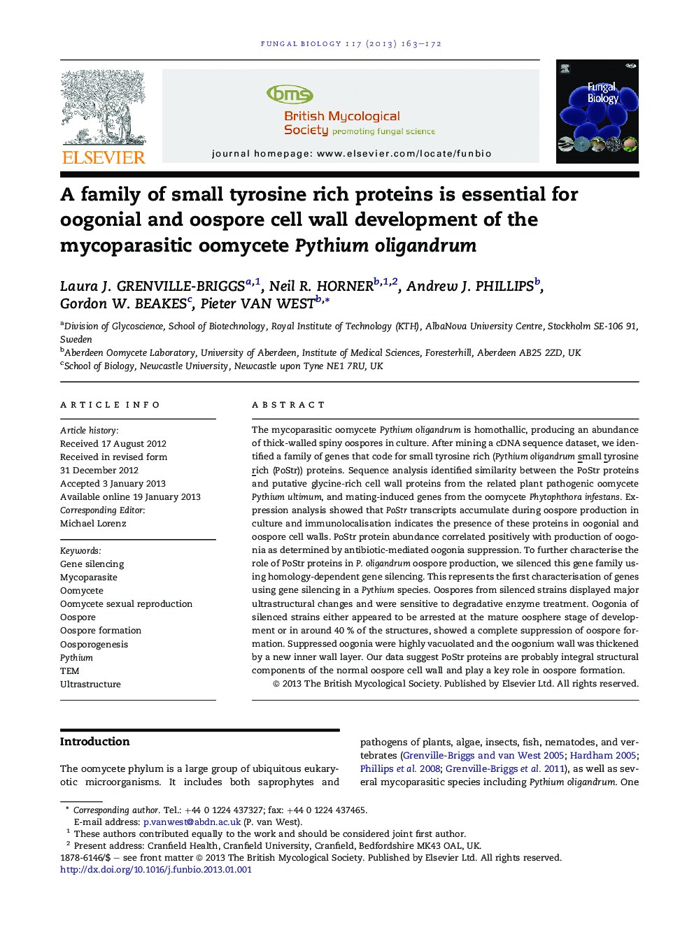 A family of small tyrosine rich proteins is essential for oogonial and oospore cell wall development of the mycoparasitic oomycete Pythium oligandrum