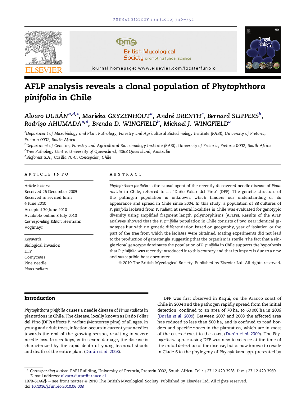 AFLP analysis reveals a clonal population of Phytophthora pinifolia in Chile