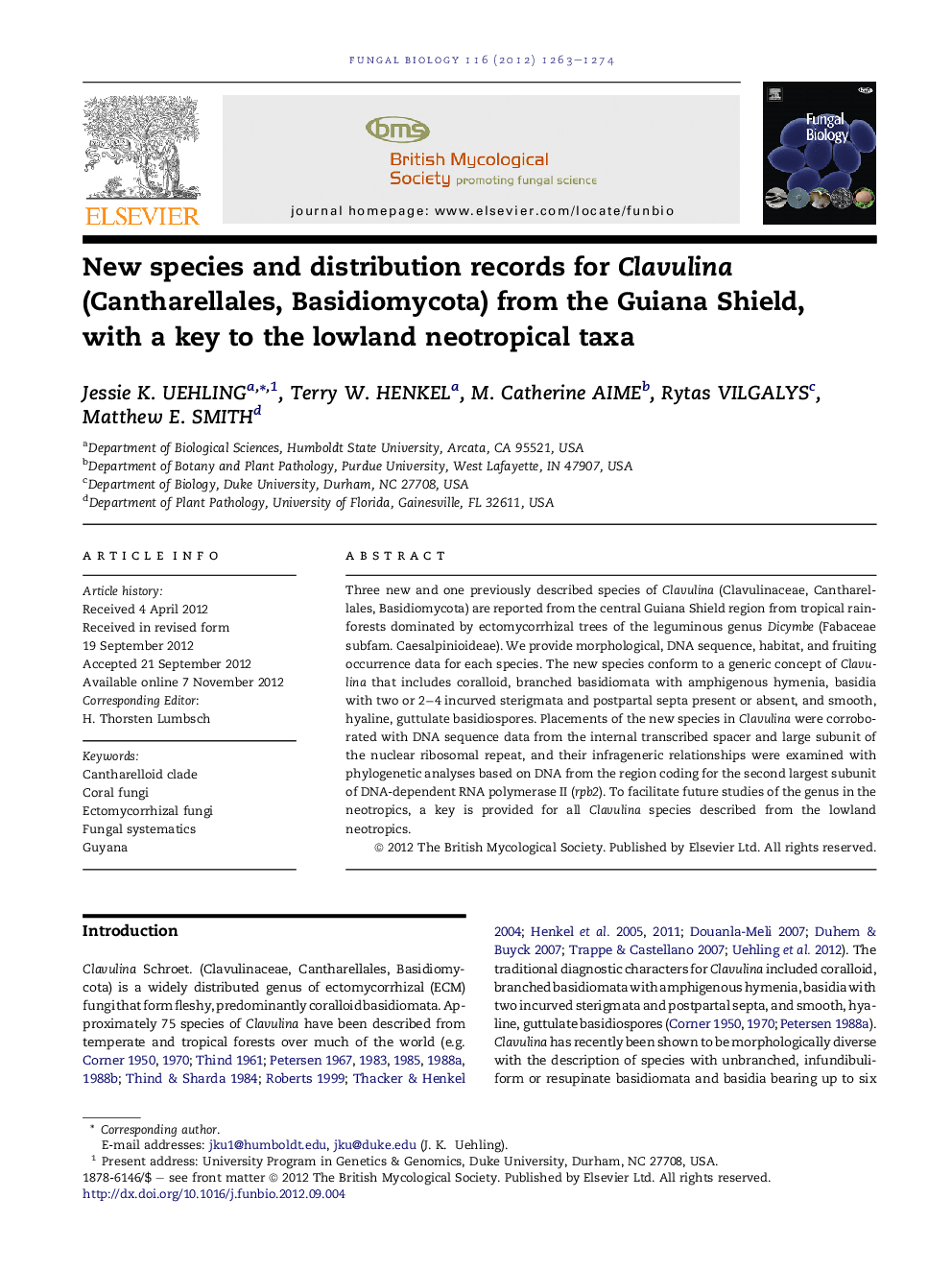 New species and distribution records for Clavulina (Cantharellales, Basidiomycota) from the Guiana Shield, with a key to the lowland neotropical taxa