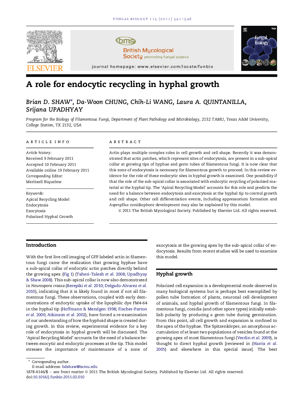 A role for endocytic recycling in hyphal growth