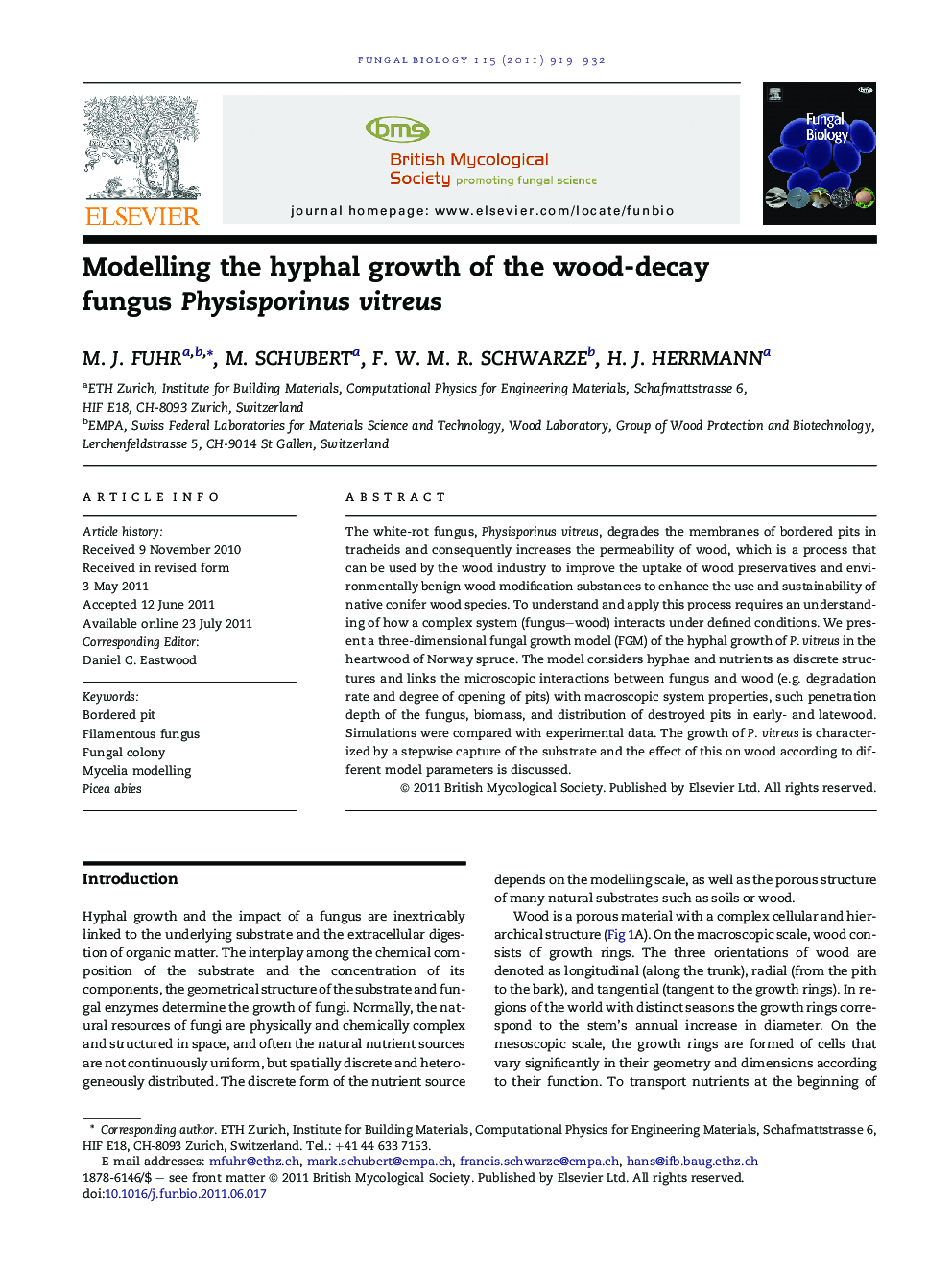 Modelling the hyphal growth of the wood-decay fungus Physisporinus vitreus