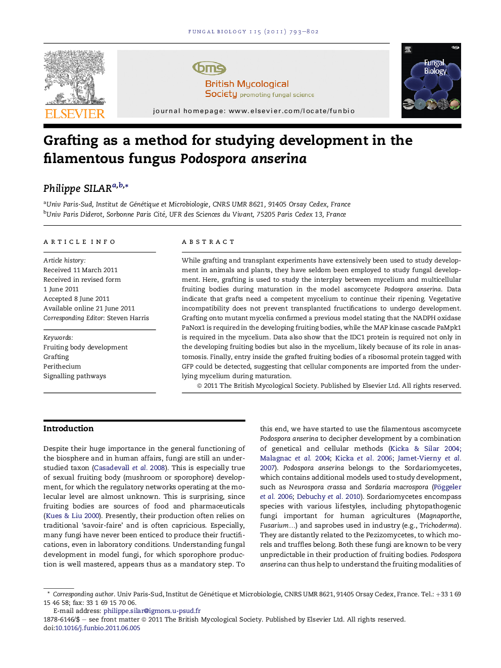 Grafting as a method for studying development in the filamentous fungus Podospora anserina