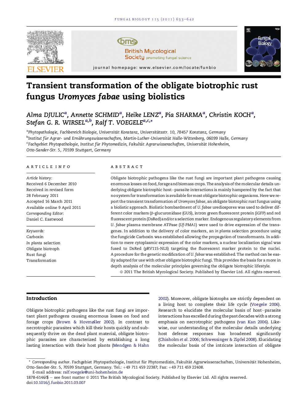 Transient transformation of the obligate biotrophic rust fungus Uromyces fabae using biolistics