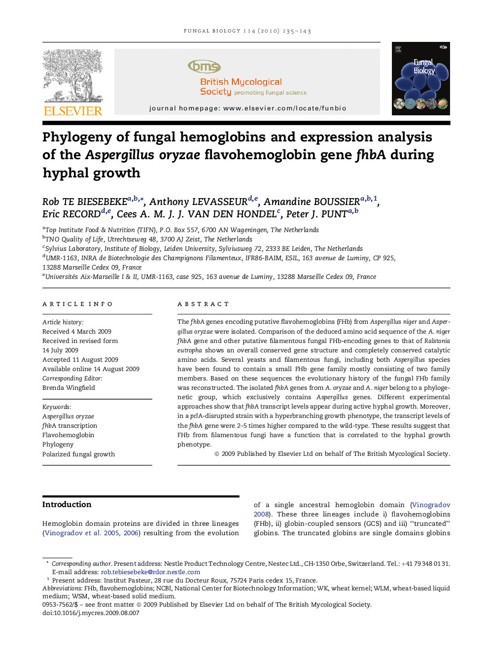 Phylogeny of fungal hemoglobins and expression analysis of the Aspergillus oryzae flavohemoglobin gene fhbA during hyphal growth