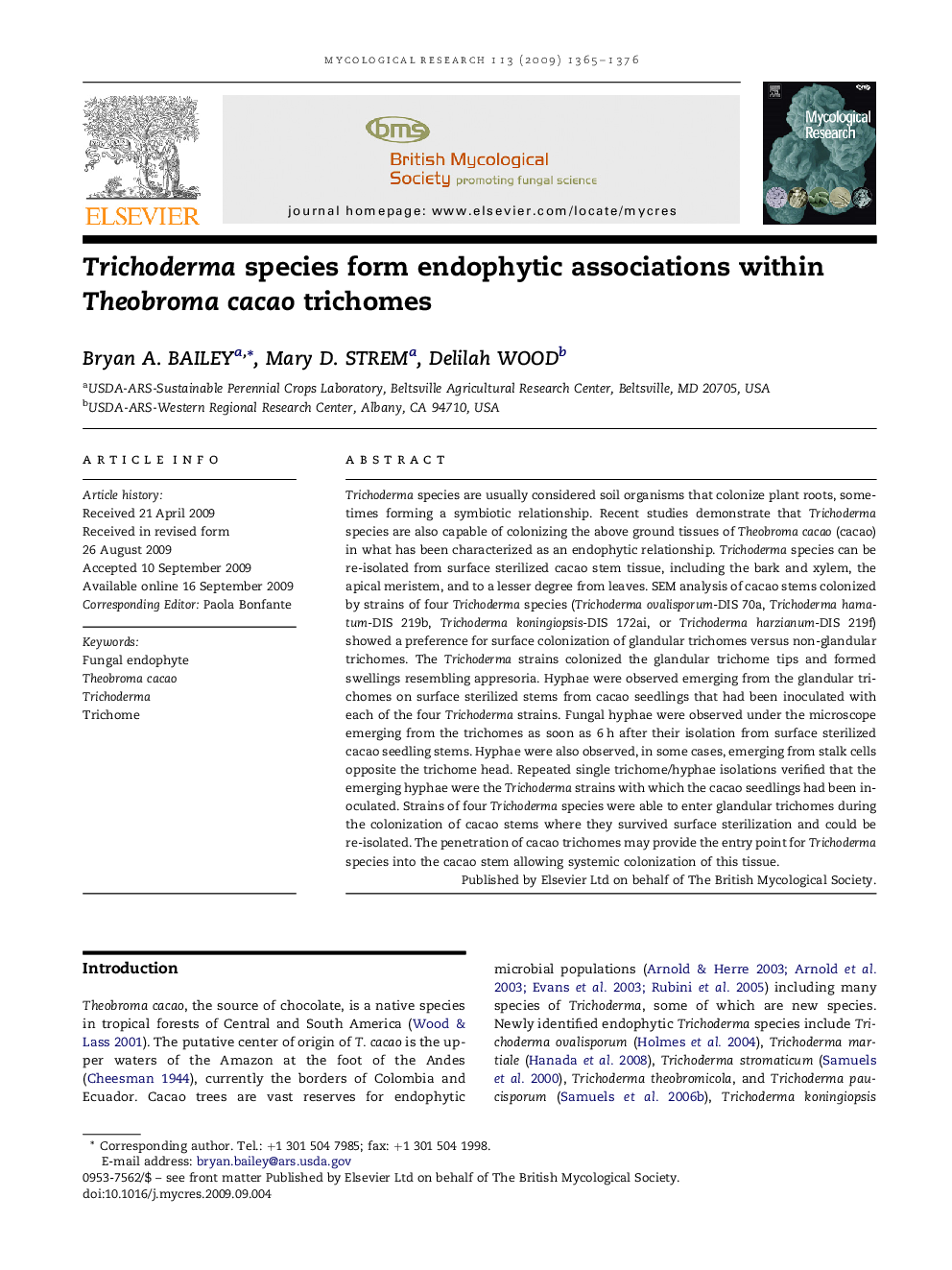 Trichoderma species form endophytic associations within Theobroma cacao trichomes