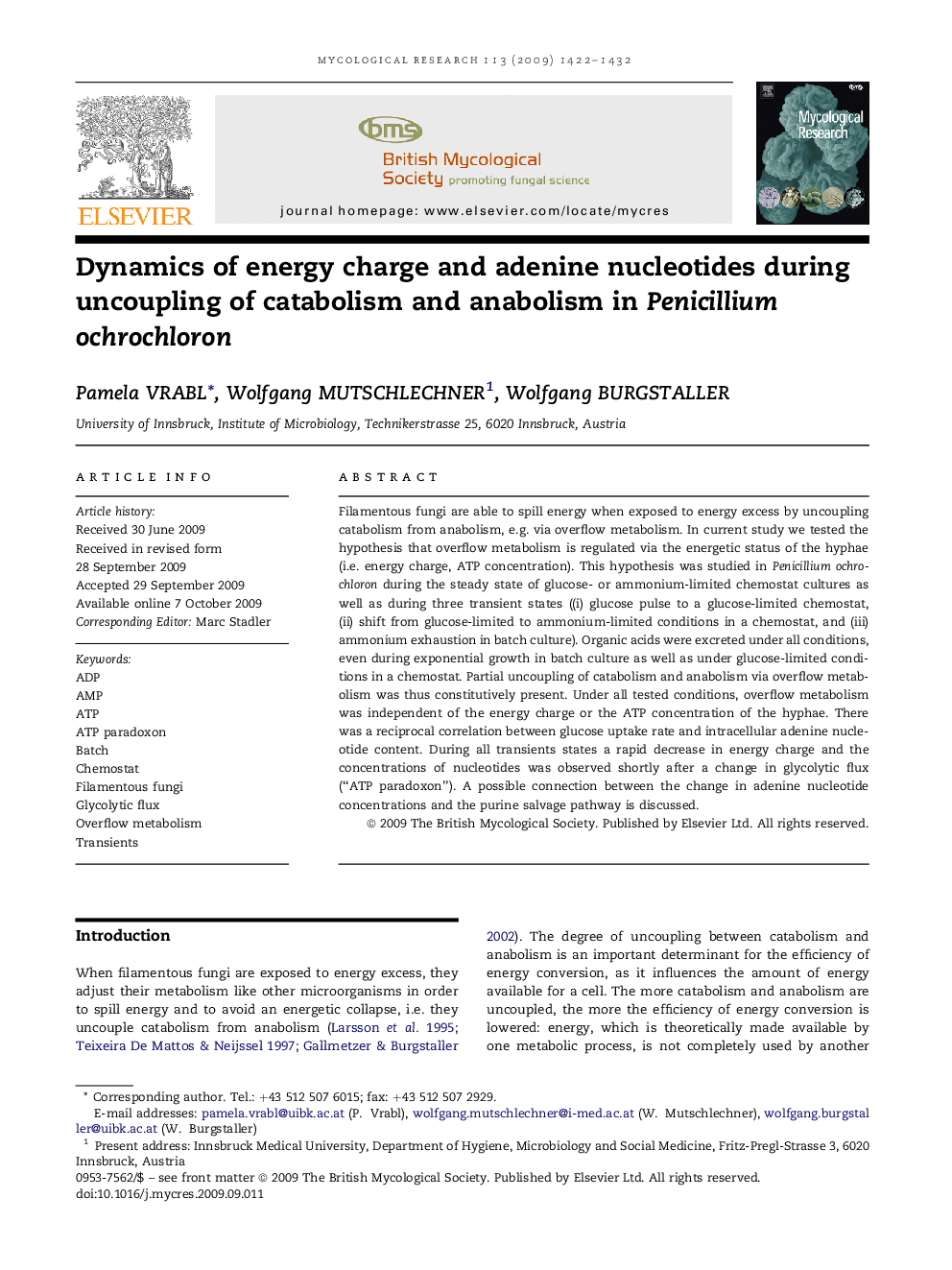 Dynamics of energy charge and adenine nucleotides during uncoupling of catabolism and anabolism in Penicillium ochrochloron