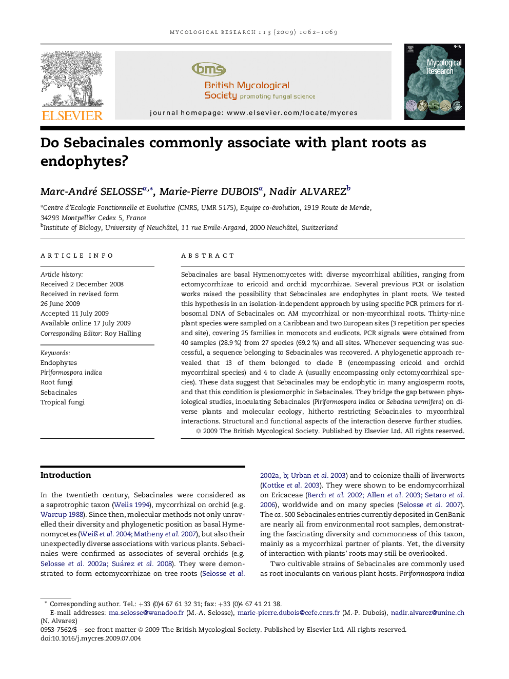 Do Sebacinales commonly associate with plant roots as endophytes?