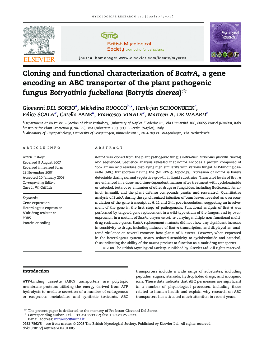 Cloning and functional characterization of BcatrA, a gene encoding an ABC transporter of the plant pathogenic fungus Botryotinia fuckeliana (Botrytis cinerea)