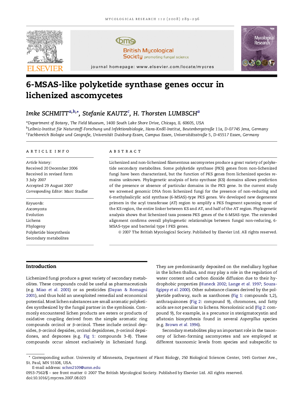 6-MSAS-like polyketide synthase genes occur in lichenized ascomycetes