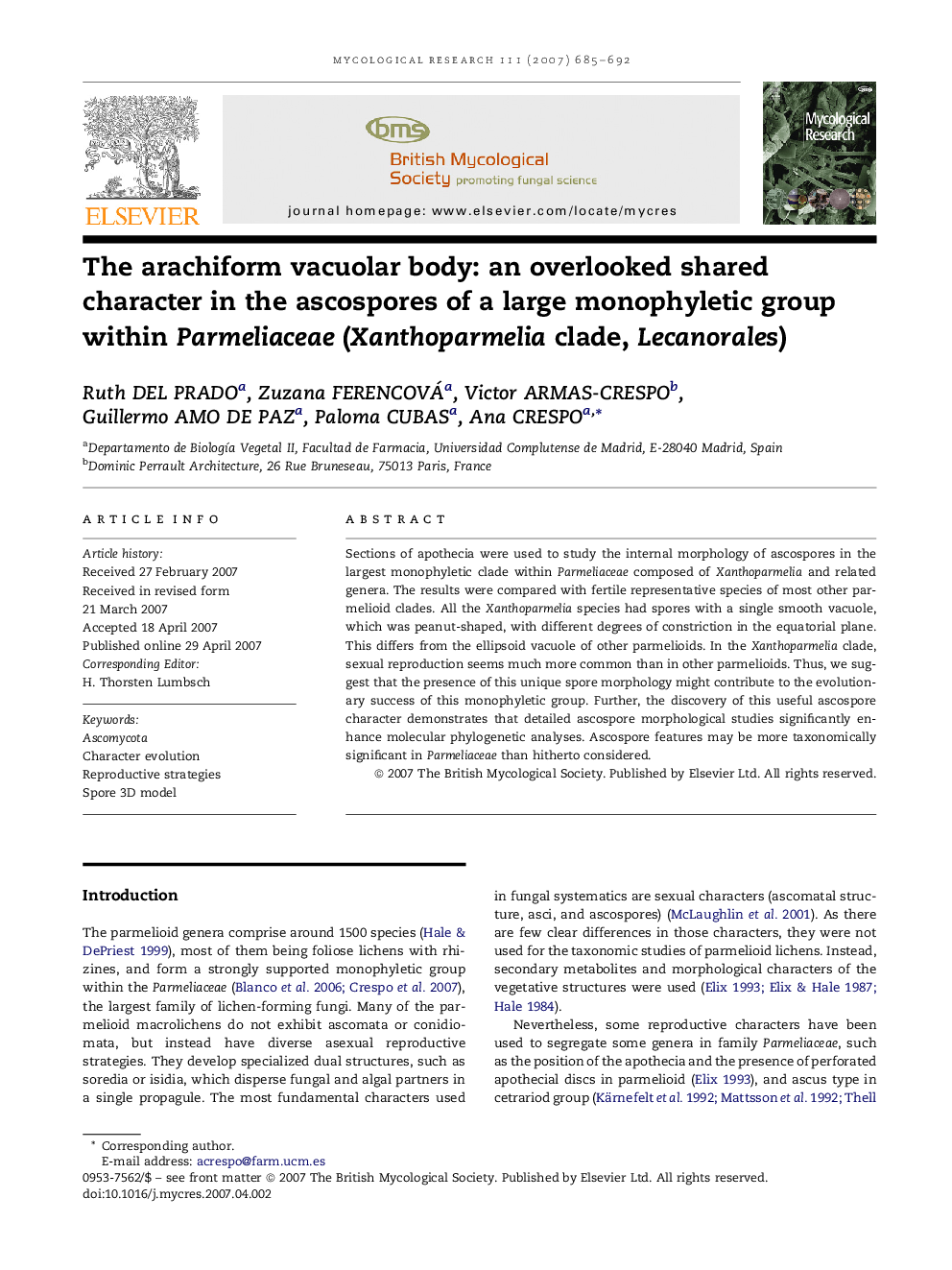 The arachiform vacuolar body: an overlooked shared character in the ascospores of a large monophyletic group within Parmeliaceae (Xanthoparmelia clade, Lecanorales)