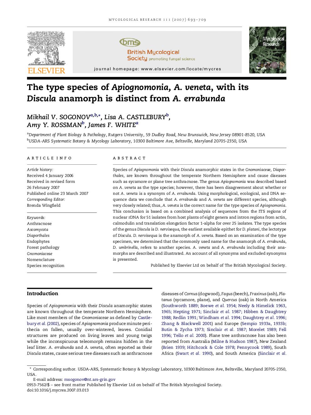 The type species of Apiognomonia, A. veneta, with its Discula anamorph is distinct from A. errabunda