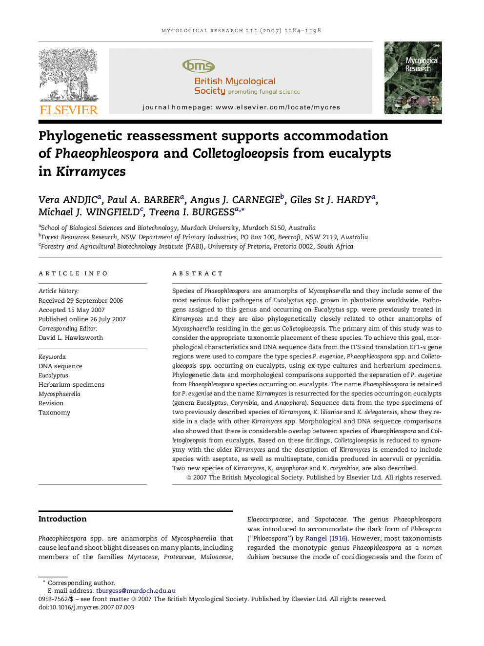 Phylogenetic reassessment supports accommodation of Phaeophleospora and Colletogloeopsis from eucalypts in Kirramyces