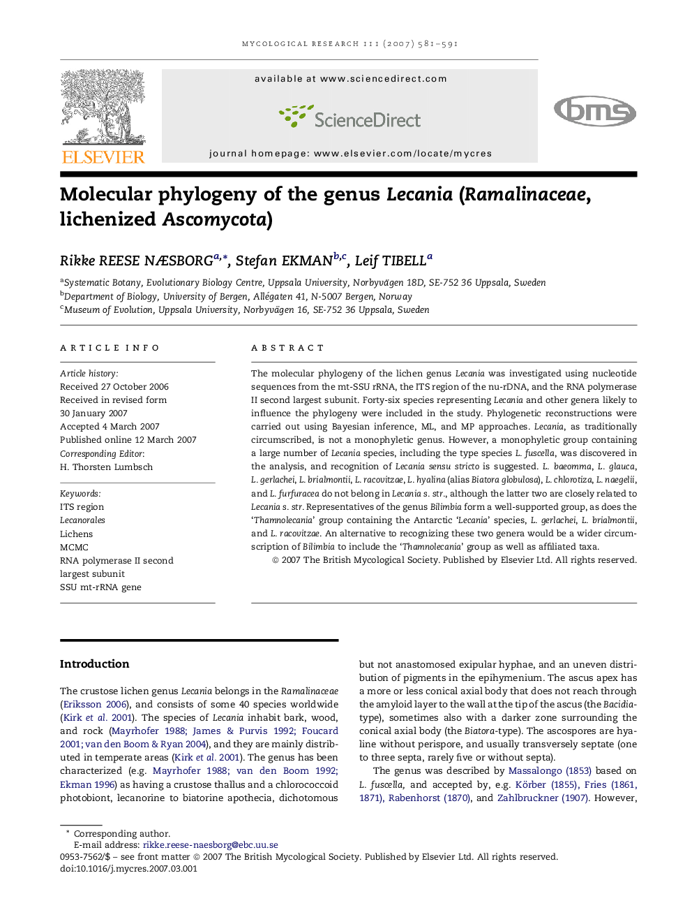 Molecular phylogeny of the genus Lecania (Ramalinaceae, lichenized Ascomycota)