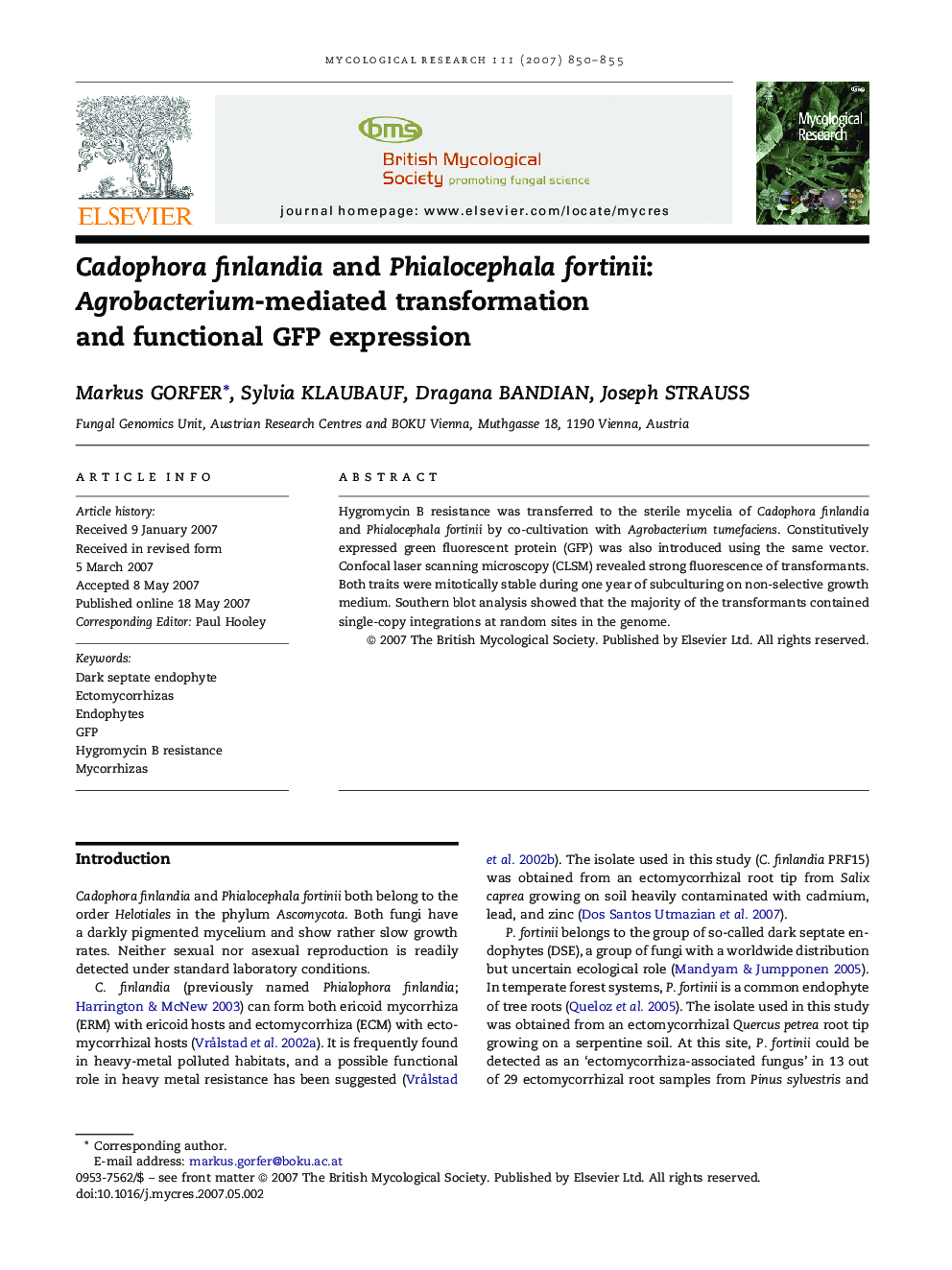 Cadophora finlandia and Phialocephala fortinii: Agrobacterium-mediated transformation and functional GFP expression