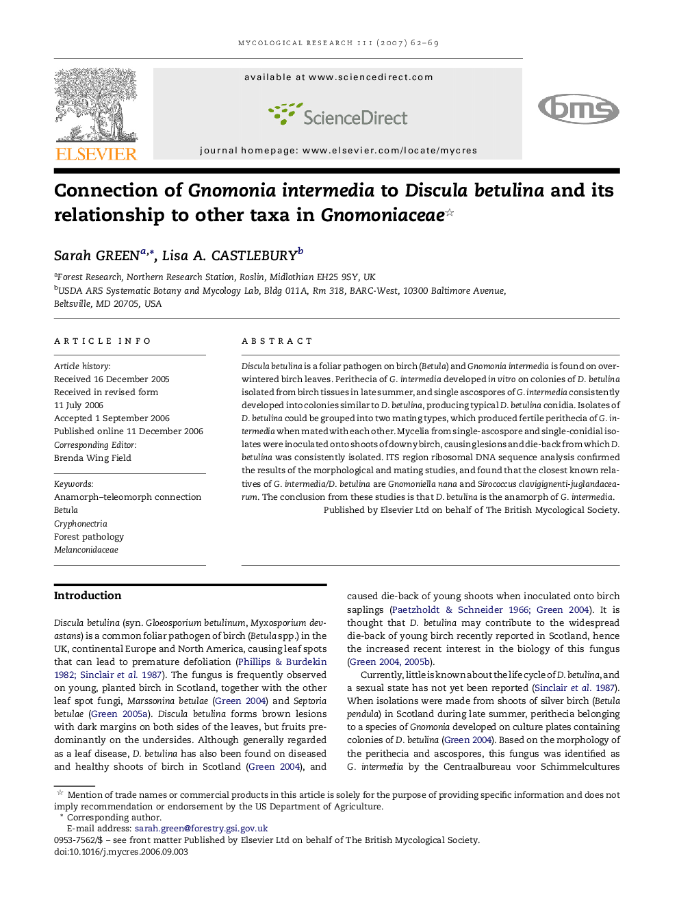 Connection of Gnomonia intermedia to Discula betulina and its relationship to other taxa in Gnomoniaceae 