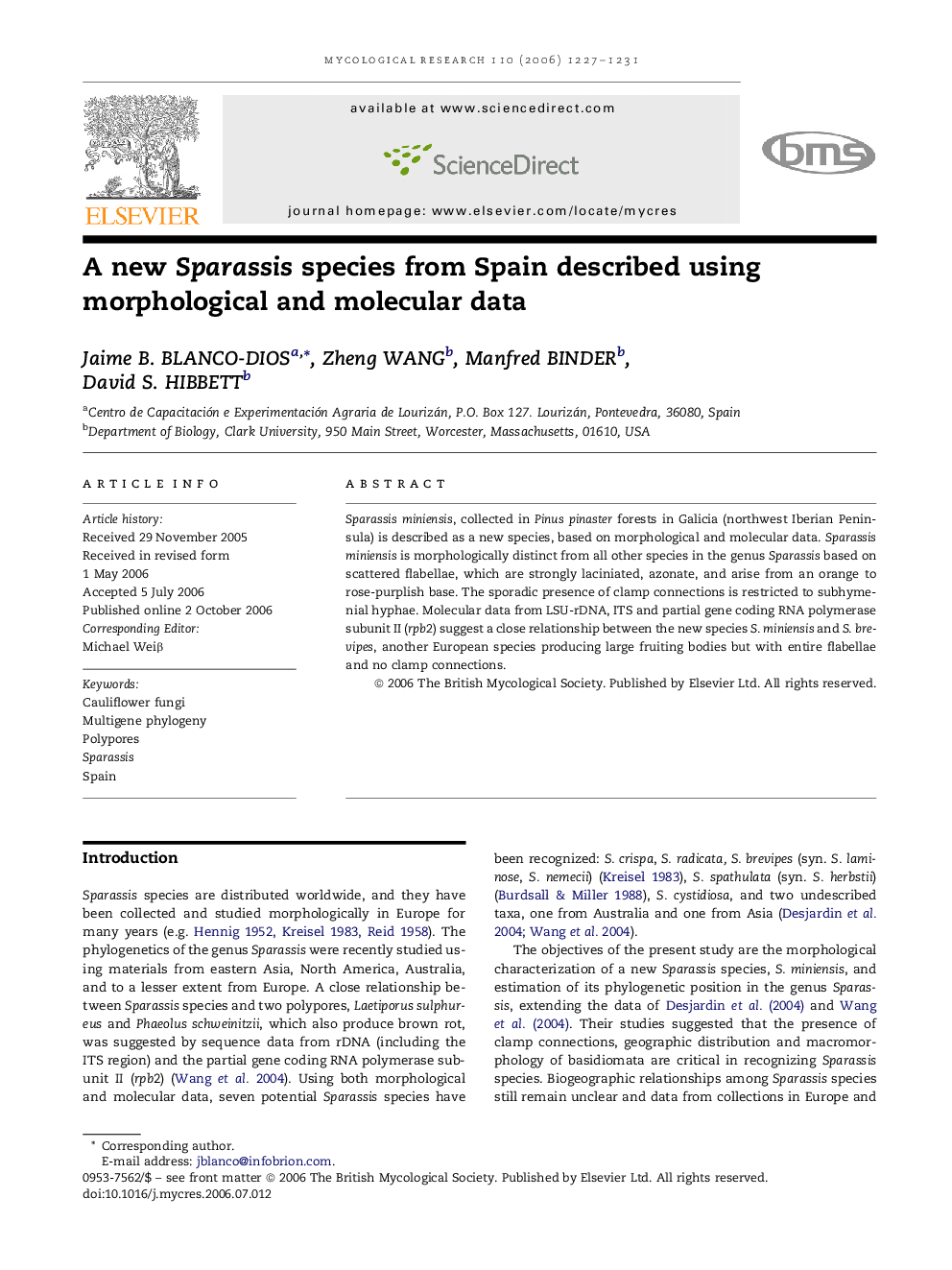 A new Sparassis species from Spain described using morphological and molecular data