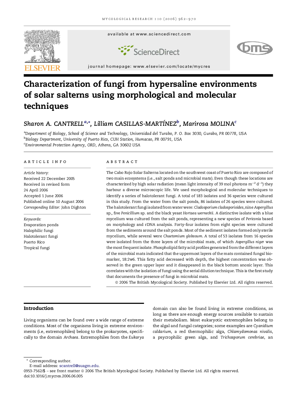 Characterization of fungi from hypersaline environments of solar salterns using morphological and molecular techniques