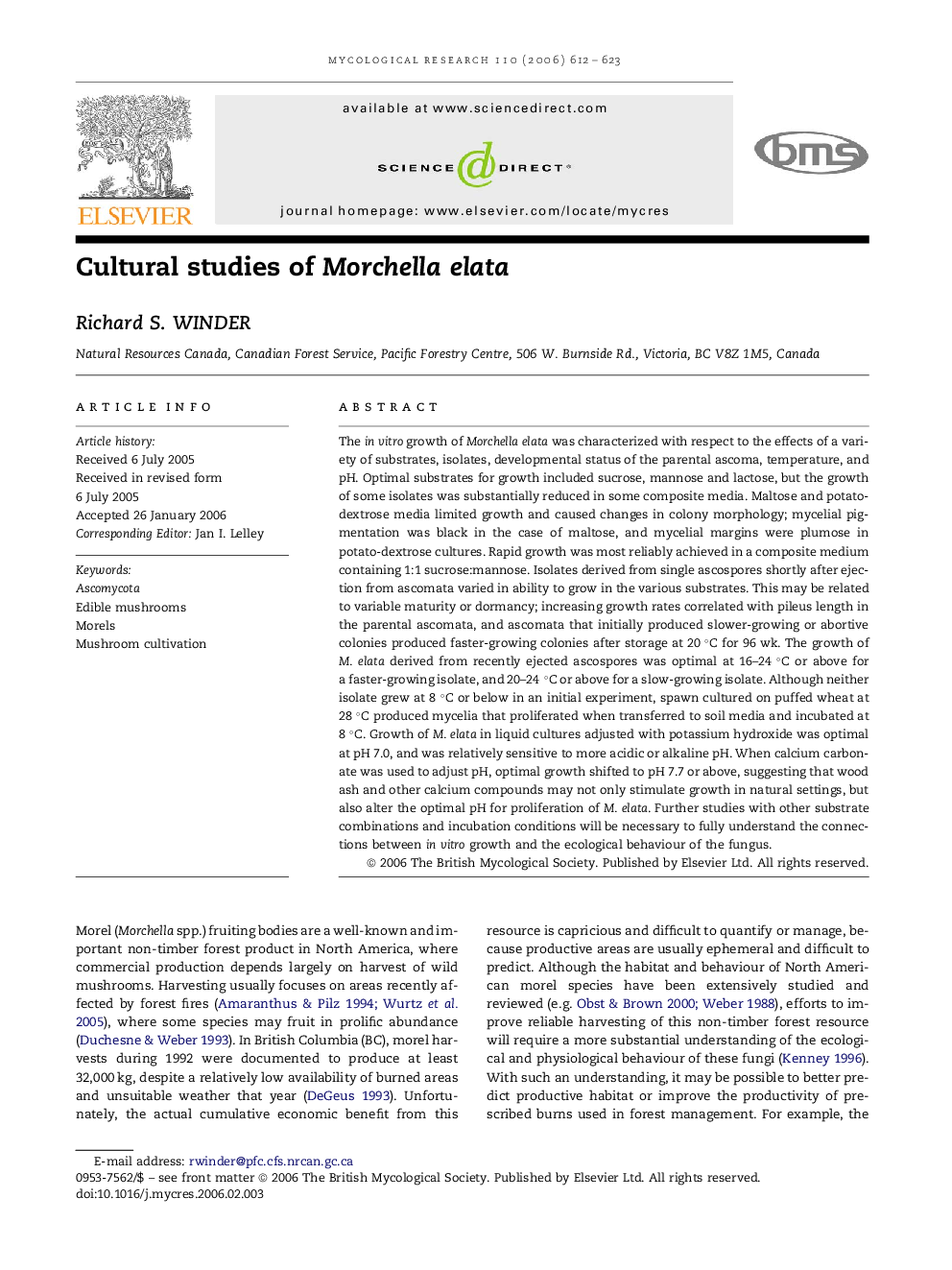 Cultural studies of Morchella elata