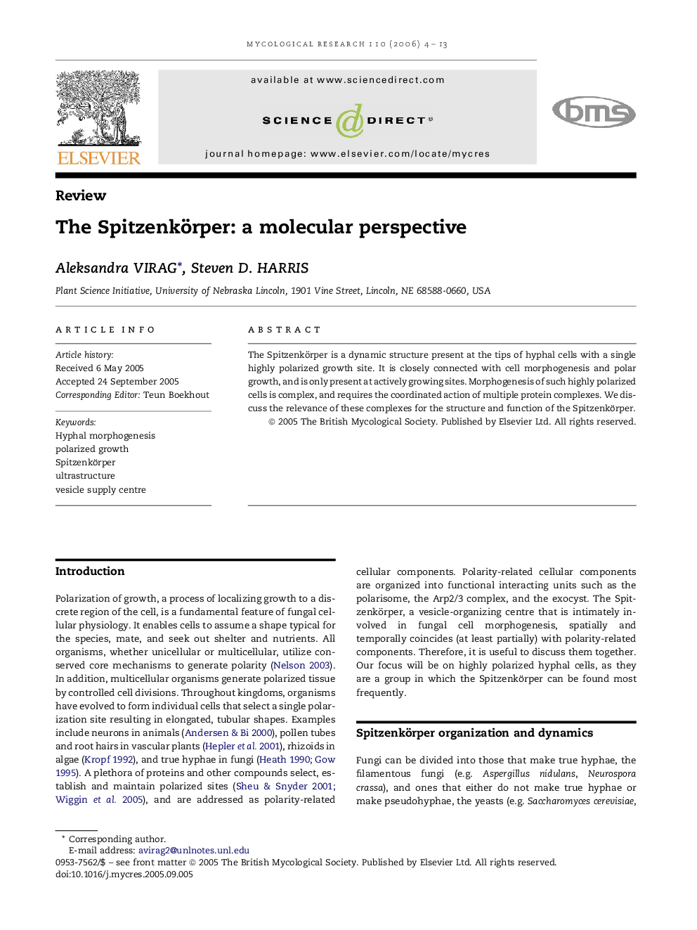 The Spitzenkörper: a molecular perspective