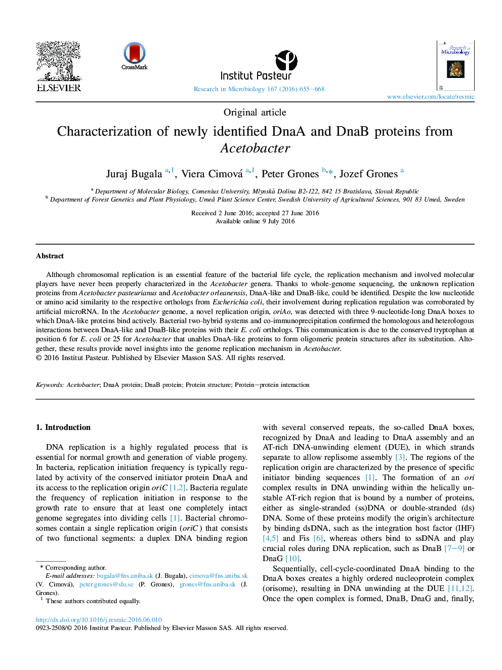 Characterization of newly identified DnaA and DnaB proteins from Acetobacter