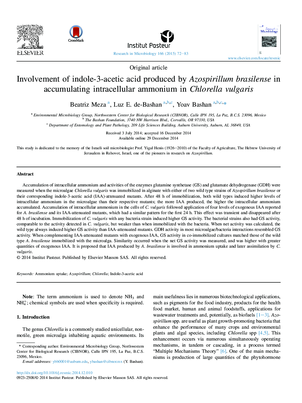 Involvement of indole-3-acetic acid produced by Azospirillum brasilense in accumulating intracellular ammonium in Chlorella vulgaris