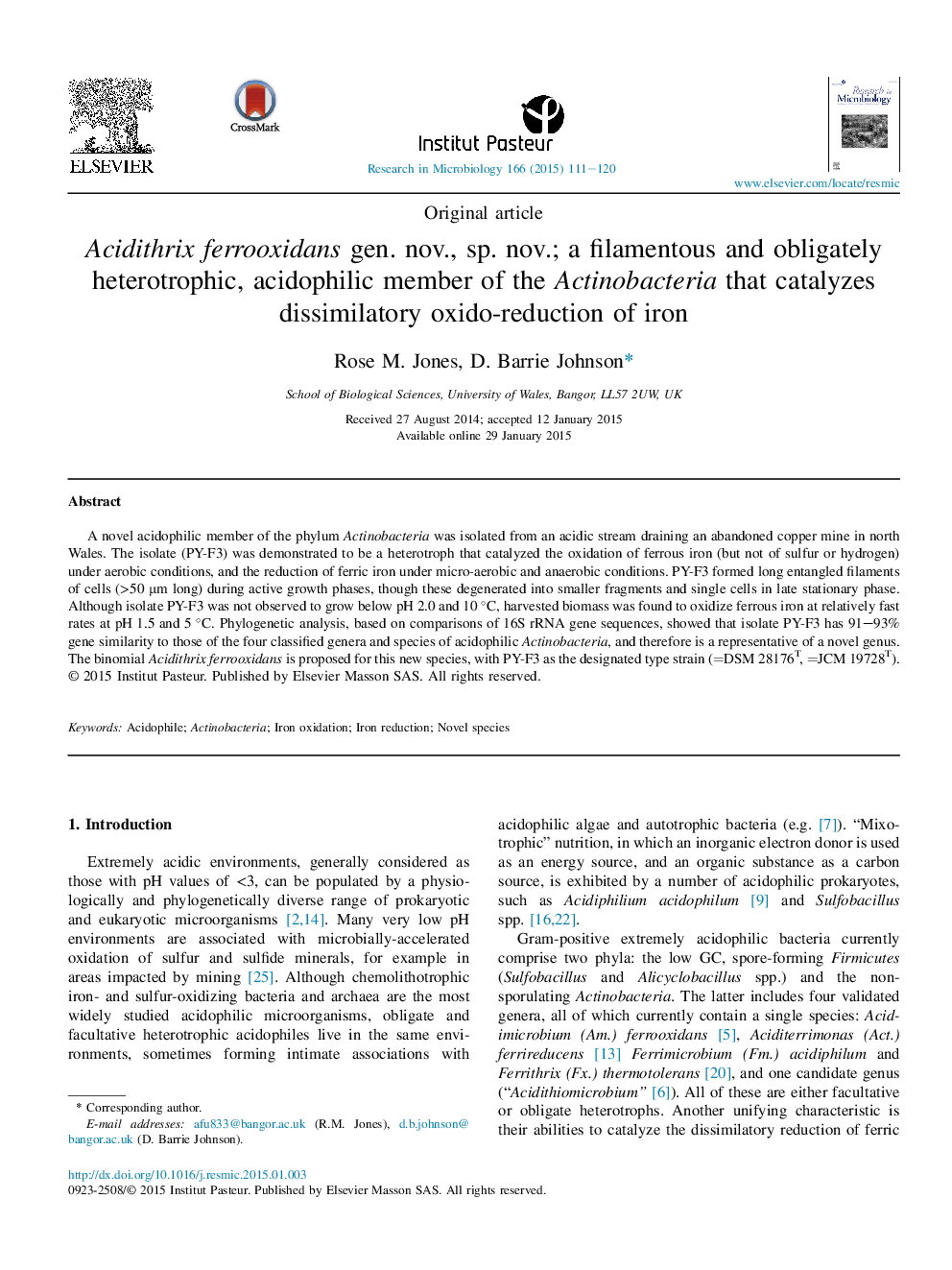 Acidithrix ferrooxidans gen. nov., sp. nov.; a filamentous and obligately heterotrophic, acidophilic member of the Actinobacteria that catalyzes dissimilatory oxido-reduction of iron