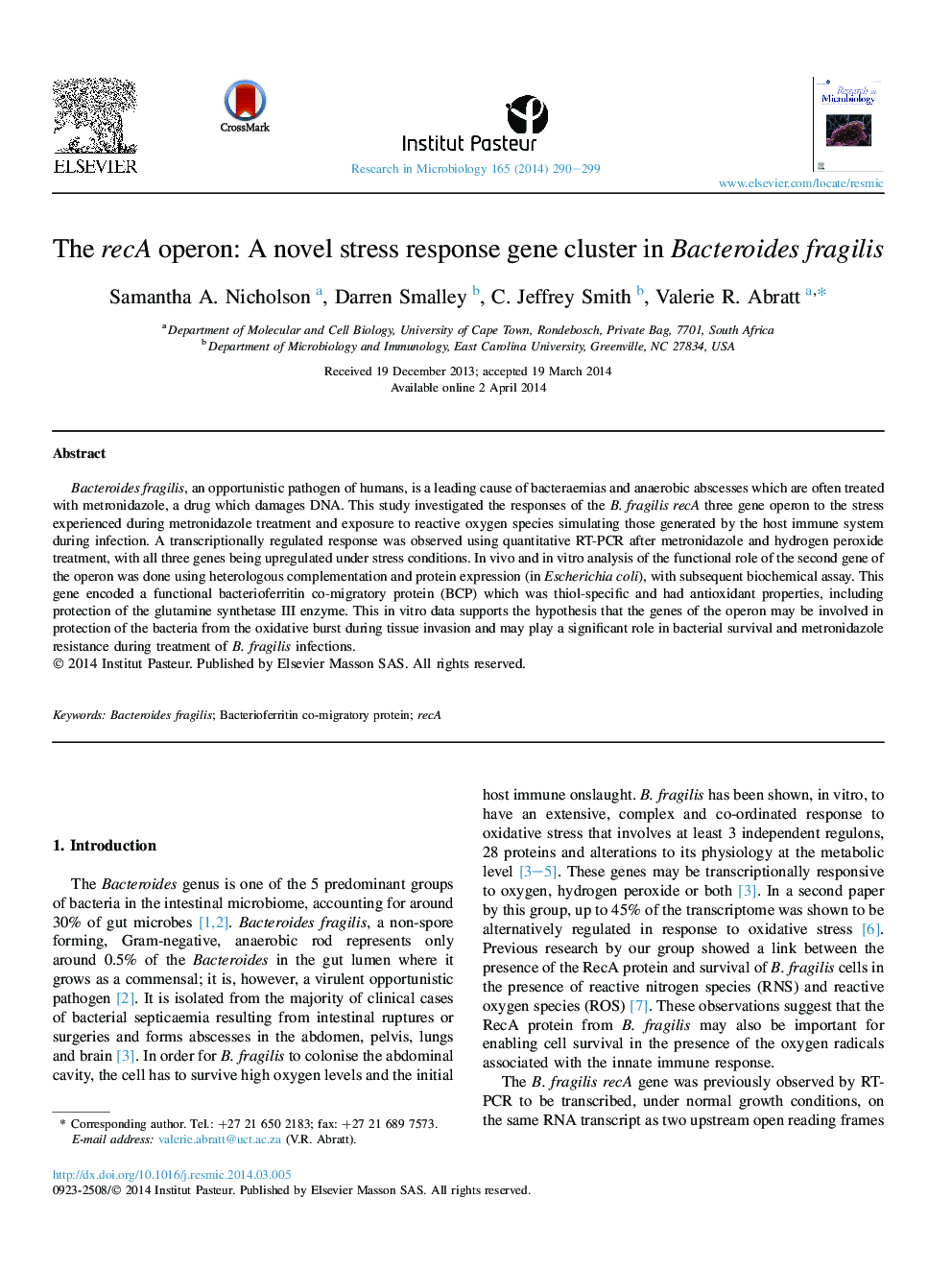 The recA operon: A novel stress response gene cluster in Bacteroides fragilis