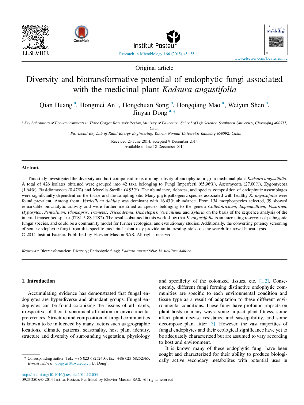 Diversity and biotransformative potential of endophytic fungi associated with the medicinal plant Kadsura angustifolia