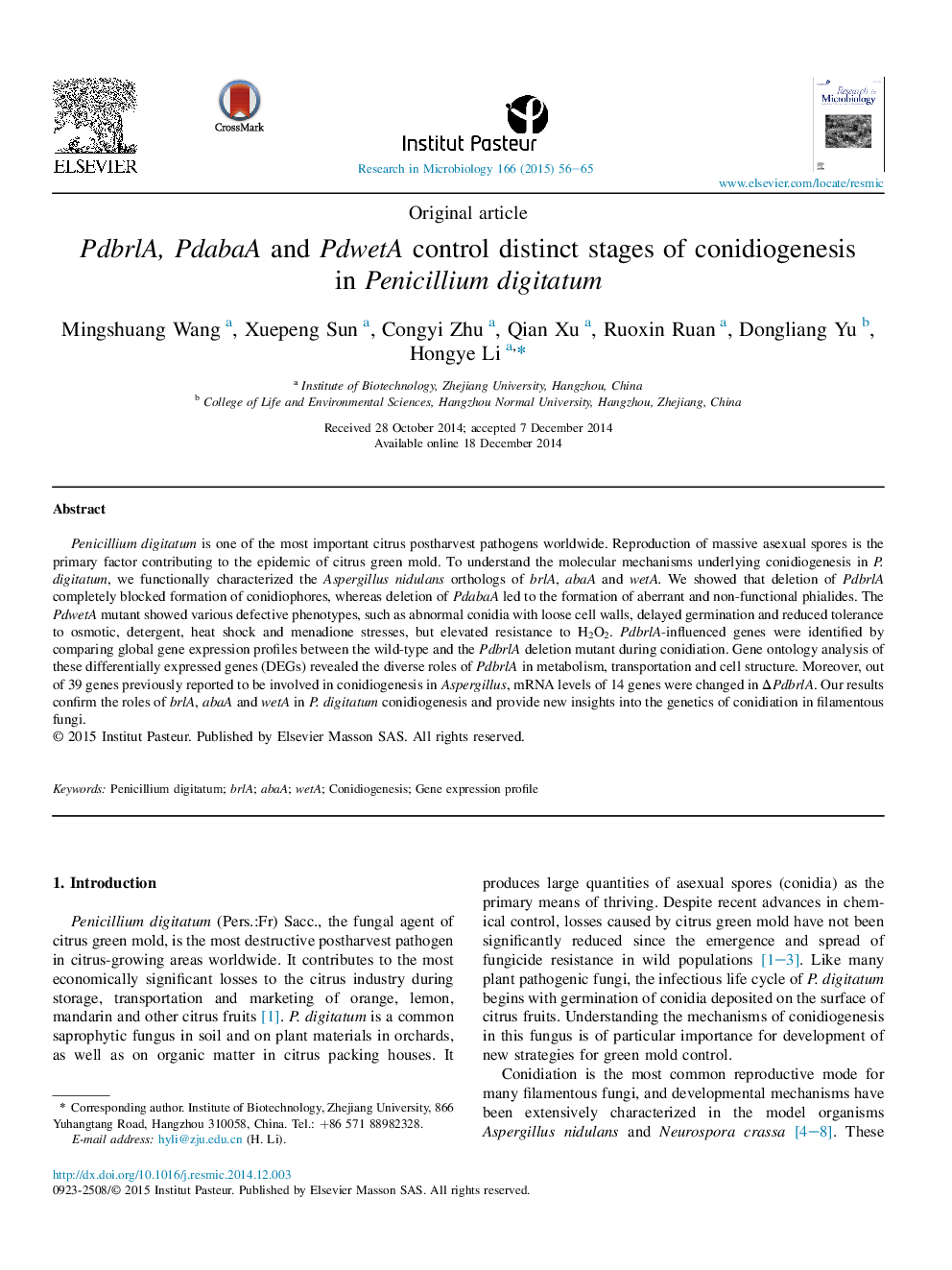 PdbrlA, PdabaA and PdwetA control distinct stages of conidiogenesis in Penicillium digitatum