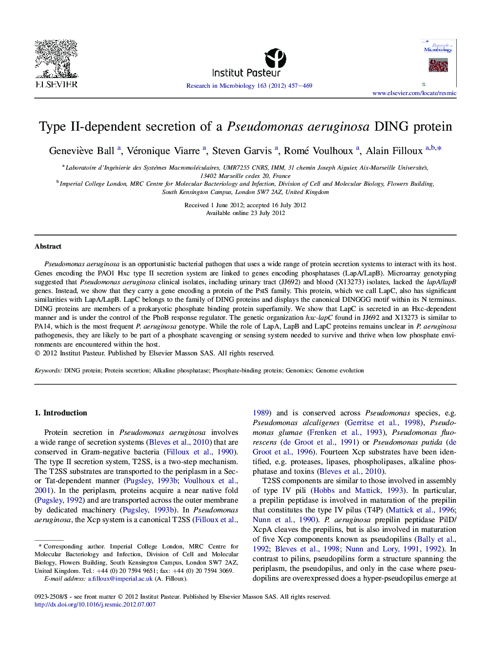 Type II-dependent secretion of a Pseudomonas aeruginosa DING protein