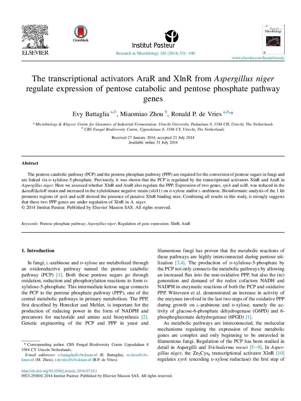 The transcriptional activators AraR and XlnR from Aspergillus niger regulate expression of pentose catabolic and pentose phosphate pathway genes