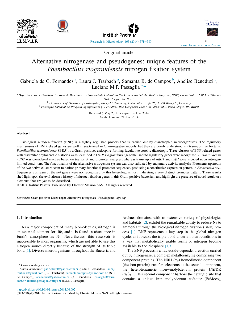 Alternative nitrogenase and pseudogenes: unique features of the Paenibacillus riograndensis nitrogen fixation system