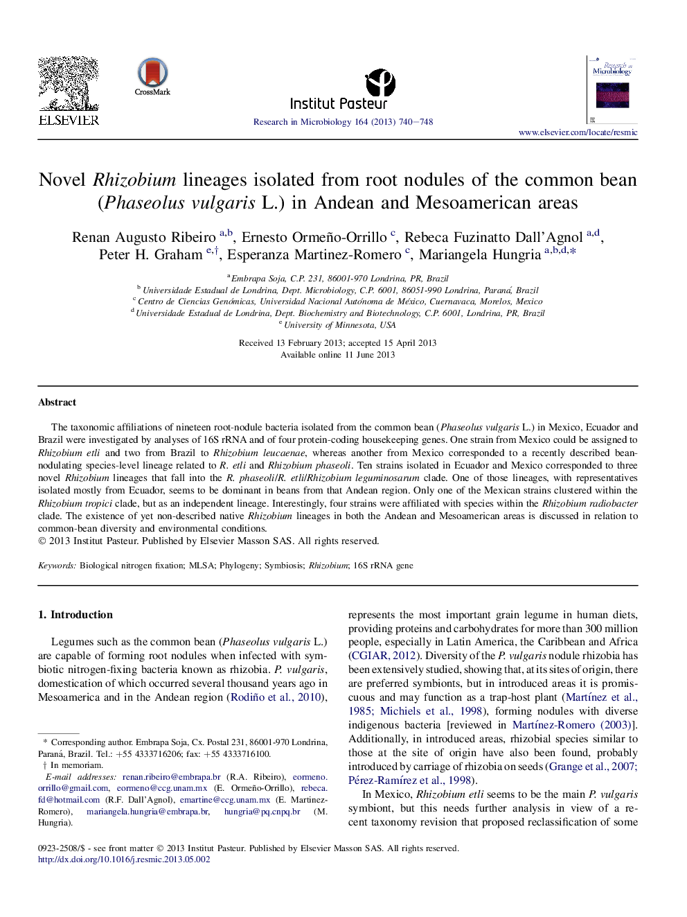 Novel Rhizobium lineages isolated from root nodules of the common bean (Phaseolus vulgaris L.) in Andean and Mesoamerican areas