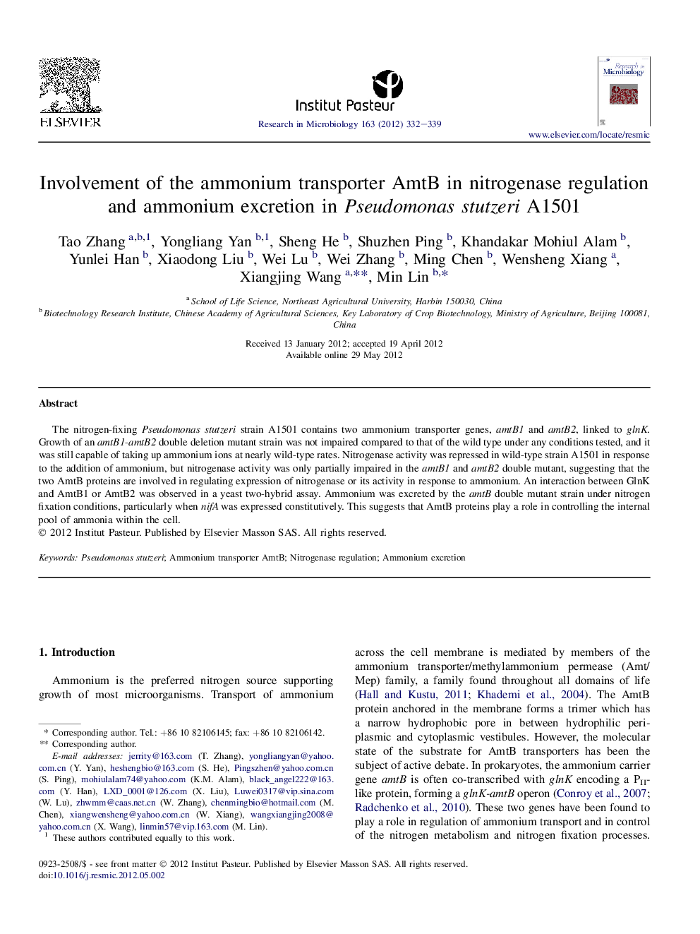 Involvement of the ammonium transporter AmtB in nitrogenase regulation and ammonium excretion in Pseudomonas stutzeri A1501