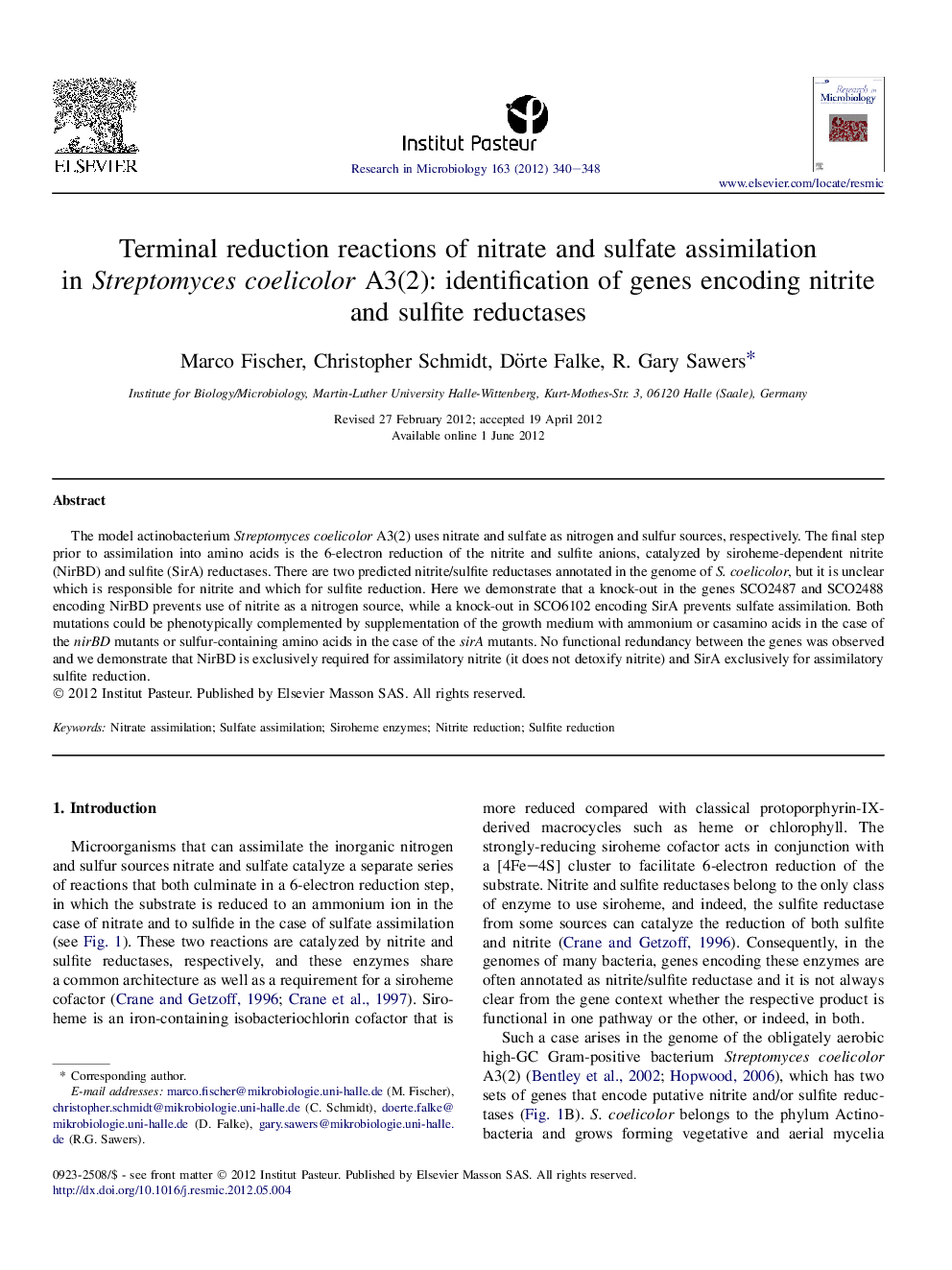 Terminal reduction reactions of nitrate and sulfate assimilation in Streptomyces coelicolor A3(2): identification of genes encoding nitrite and sulfite reductases