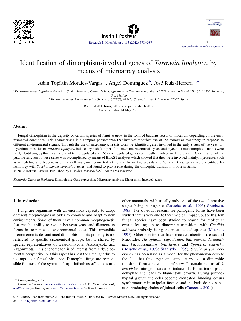 Identification of dimorphism-involved genes of Yarrowia lipolytica by means of microarray analysis